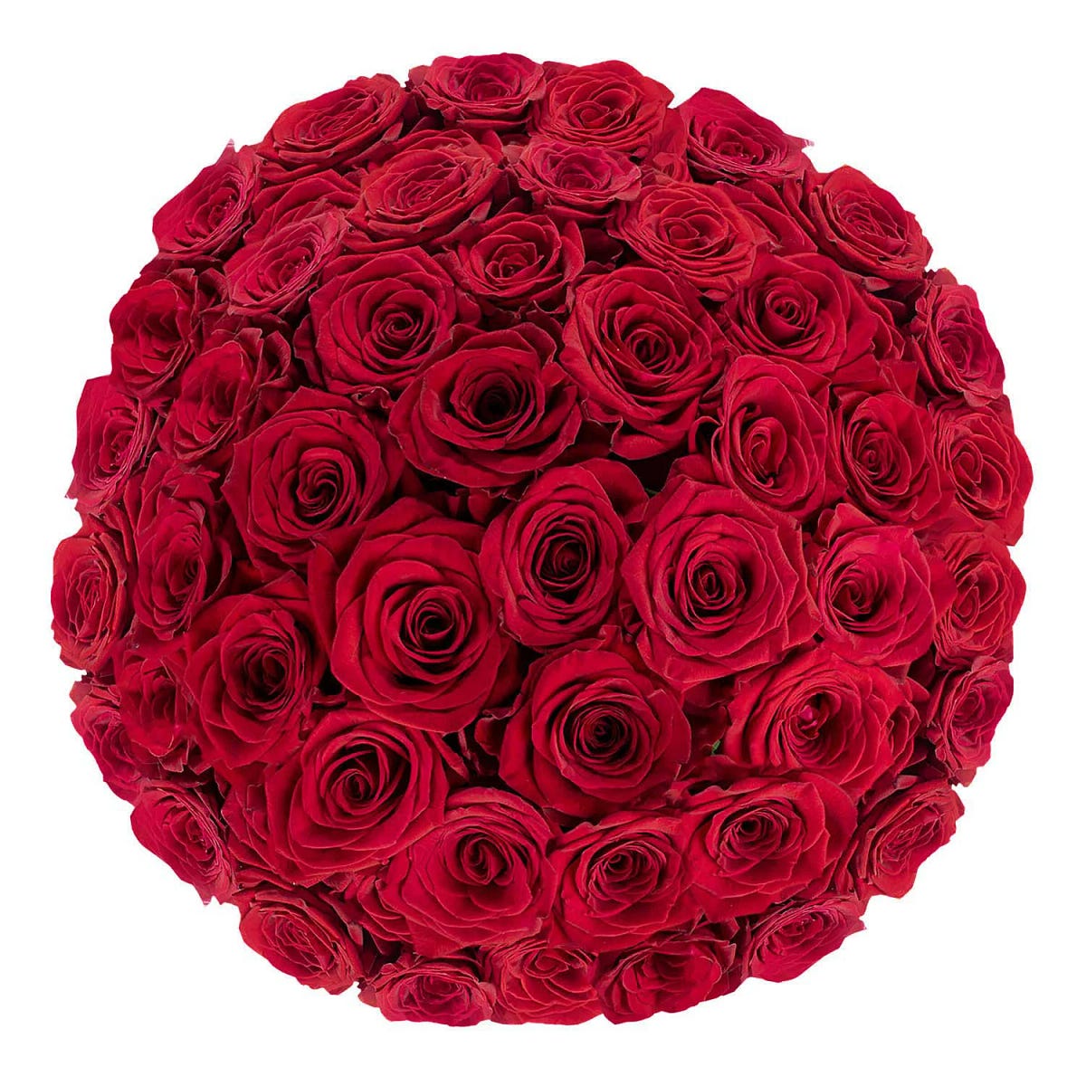 https://www.amazon.com/s?tag=mediotag2–20&k=Roses+Delivery+Same+Day ...