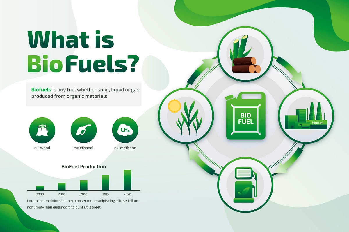 How India’s best biofuel manufacturers are helping to reduce our