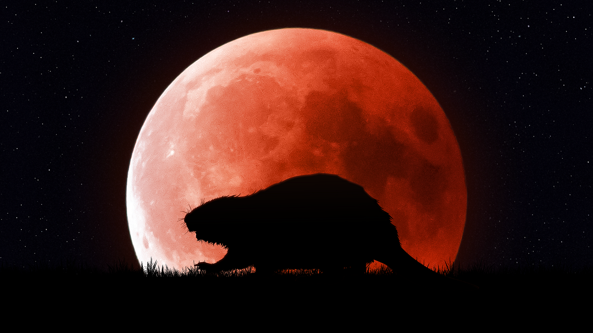 Blood Beaver Moon the Full Moon in November 2022 by Star Walk Medium