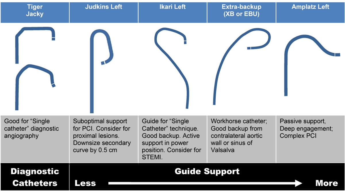 Need a Guide Catheter? Consider these things by Dutch Technology