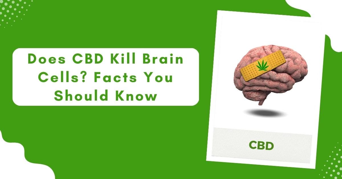 Does CBD Kill Brain Cells? Facts You Should Know Sheas Healing CBD Medium