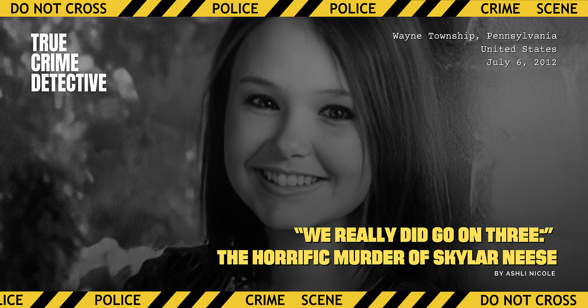 “we Really Did Go On Three” The Horrific Murder Of Skylar Neese By Ashli Nicole True Crime 9241
