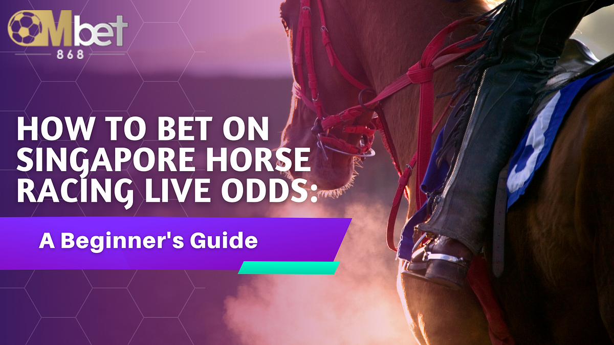 How to Bet on Singapore Horse Racing Live Odds A Beginner’s Guide by