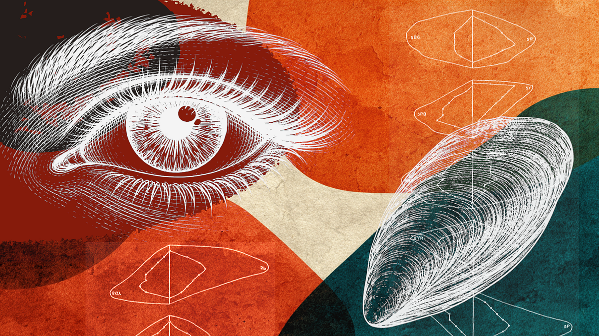 The color statistic that's been wrong for 80 years
