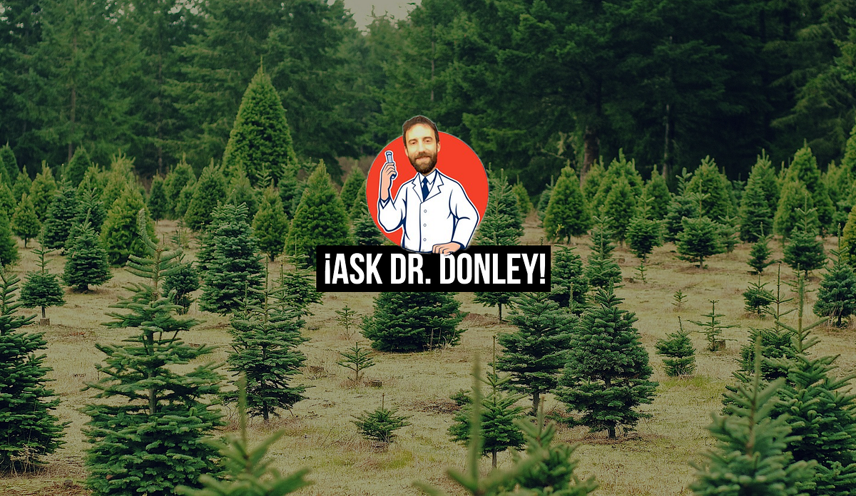 Are Christmas Trees Sprayed with Pesticides? by Nathan Donley