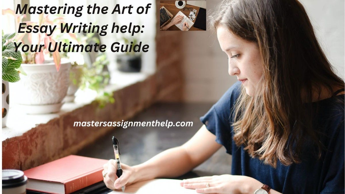 the art of essay writing