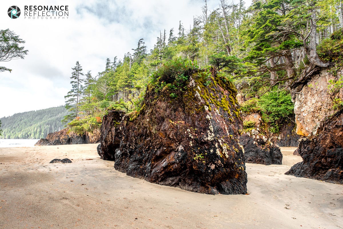 Walking Among The Sea Stacks: Part 4. | by Marcel Comeau | Medium