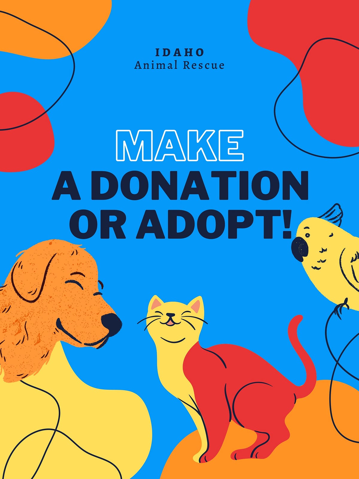 Navigating the World of Pet Adoption and Shelter Dynamics by Sandra