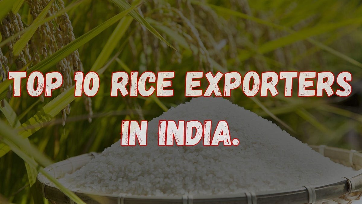 The Top 10 Basmati Rice Exporters in India by Vivek Rjput Dec, 2023