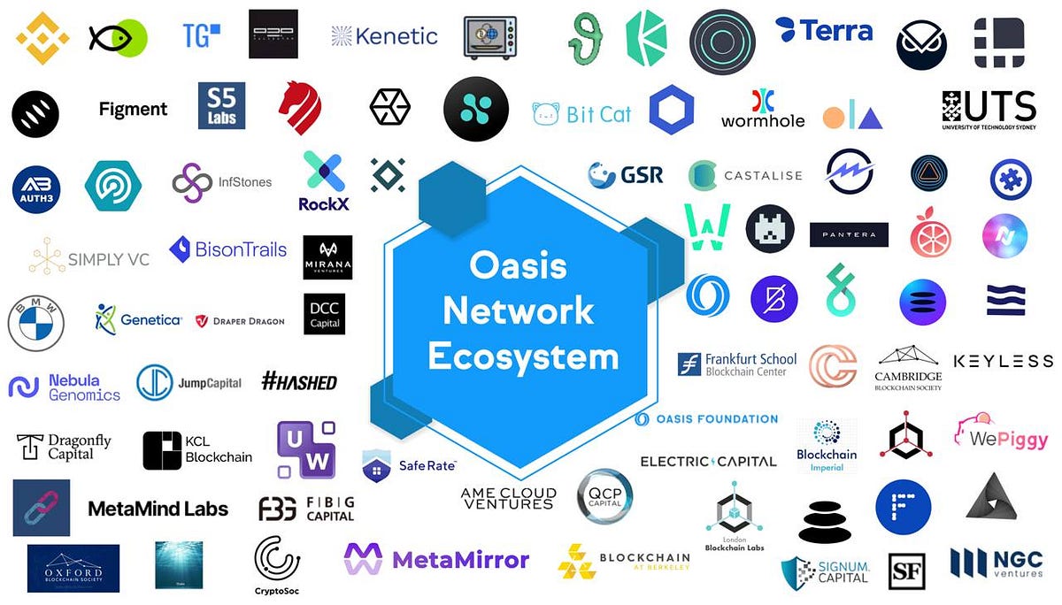 What is Oasis Network. Oasis Labs, the core developer of the… by