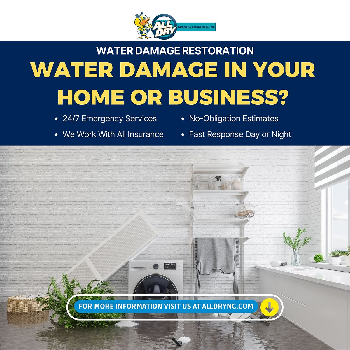 Mold Remediation — Charlotte, NC. Mold Remediation — When to Call in