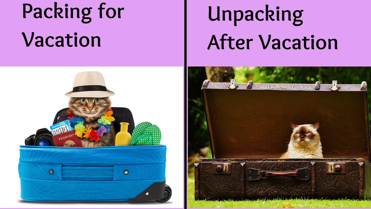 Travel Meme, Packing - Meme Mingle - Medium