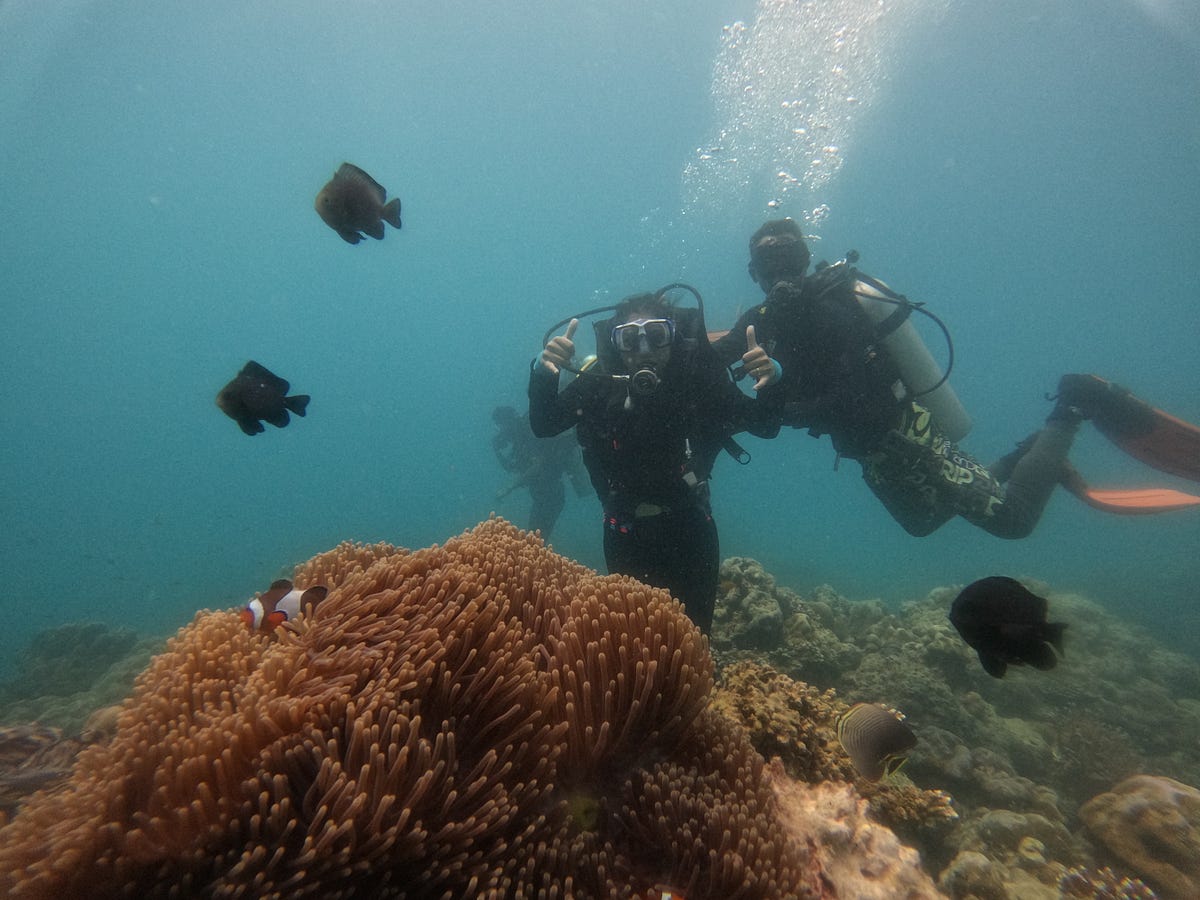 Which is the best place to scuba dive in Andaman? by Debal Deb Das