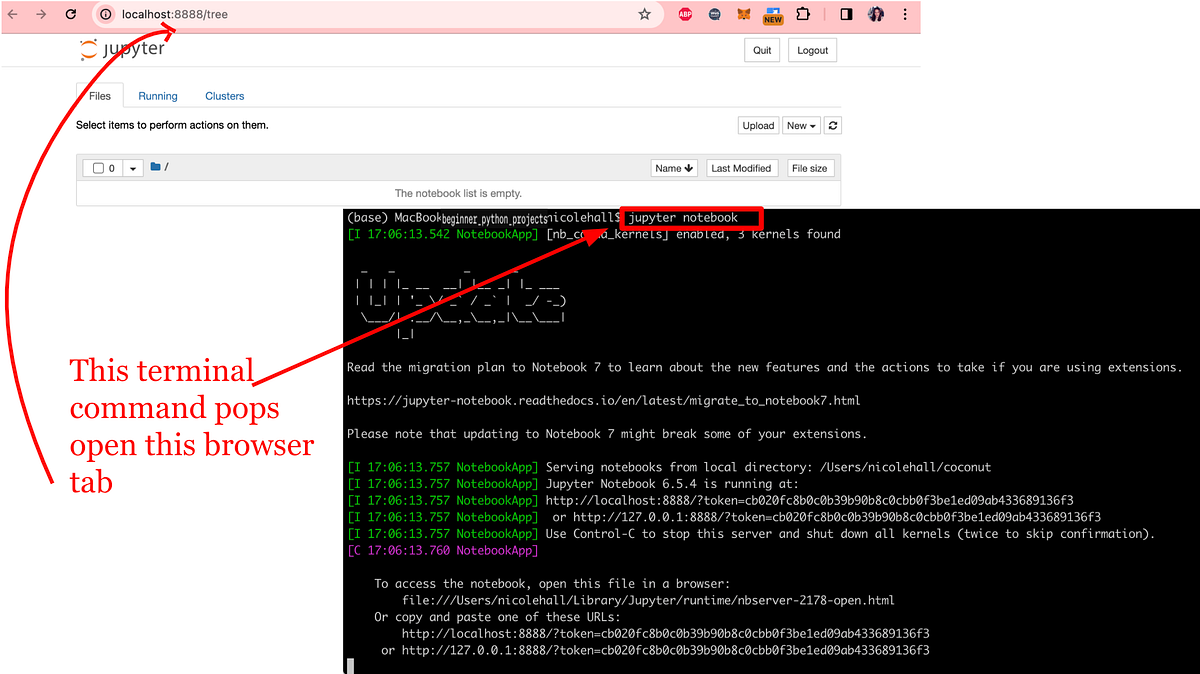 Why You Can’t Follow a Python Tutorial for Beginners | by Nicole Hall ...