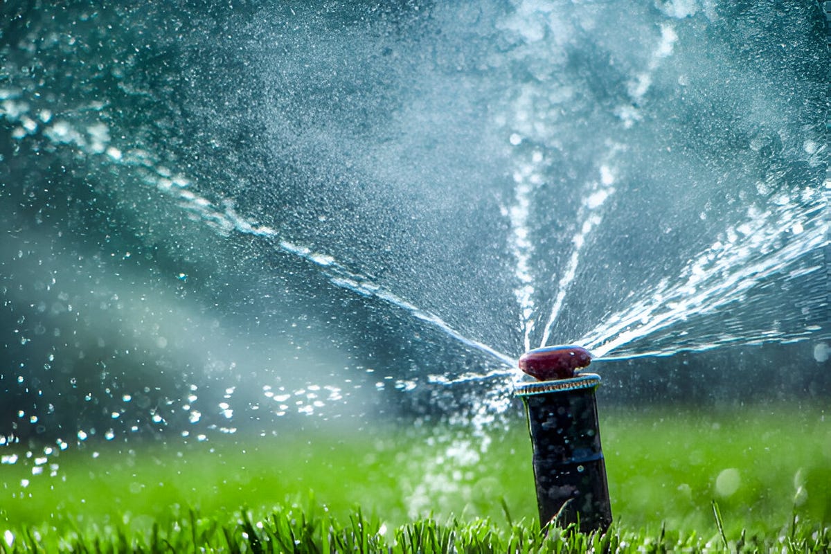 Sprinkler Repair St. Augustine: Ensuring a Lush Lawn All Year Round ...