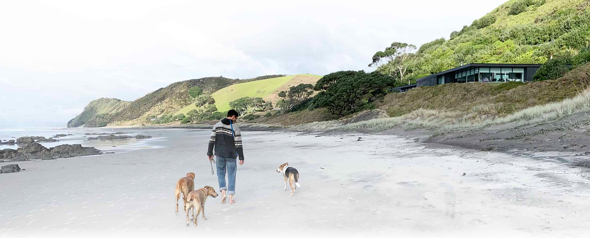 The Dog Calming Code™ from Doggy Dan @ The Online Dog Trainer | by ...