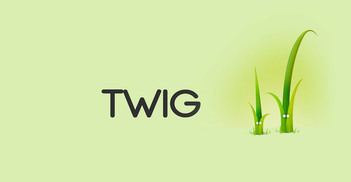Template engine Twig Simple Documentation by Lafhielzakaria Jan