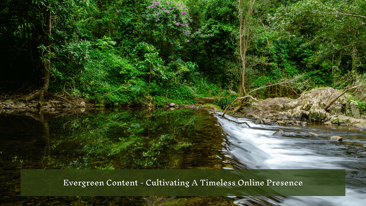 Evergreen Content — Cultivating A Timeless Online Presence