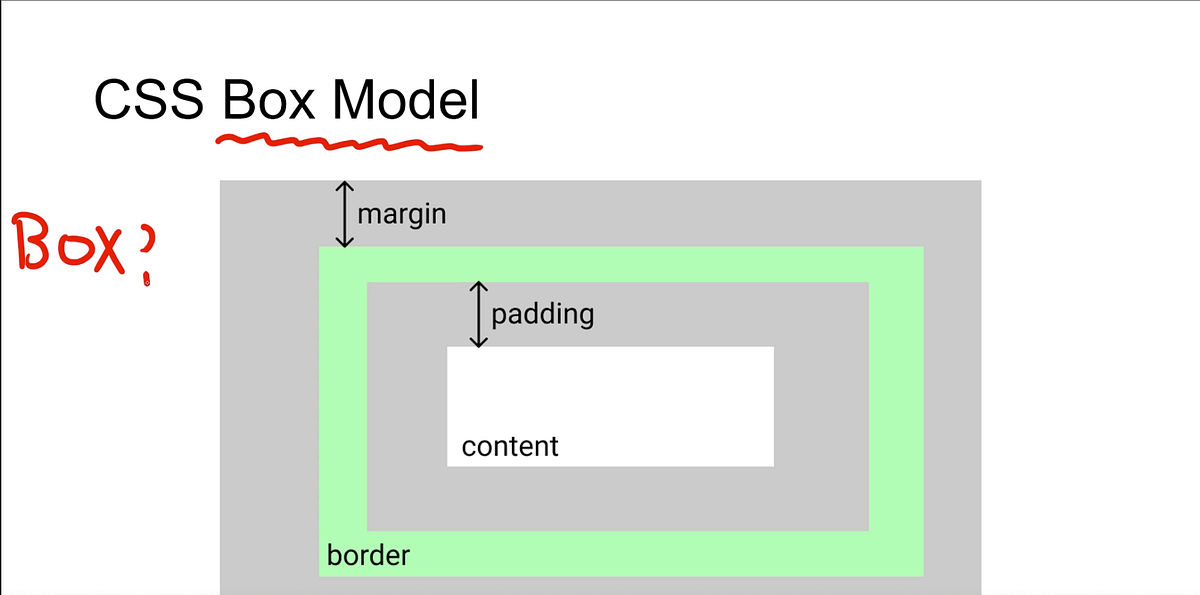 Box Model - Yiz Yeh - Medium