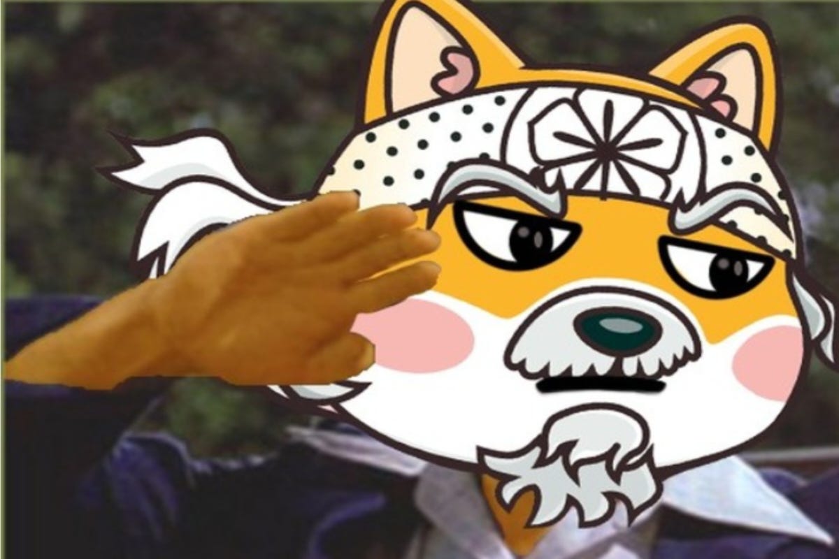 DogeMiyagi 2023 Unleashing The Meme Coin Potential, Battling Dogecoin