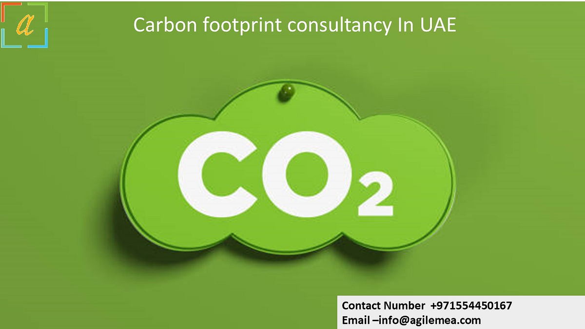 The Advantages of Paperless Transactions Lower Carbon Footprint by