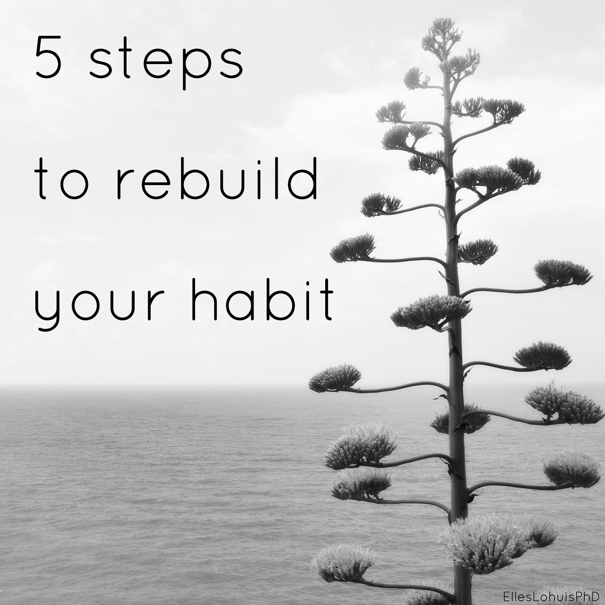 5 Steps To Rebuild Your Habit. It happens, we slip up with whatever is
