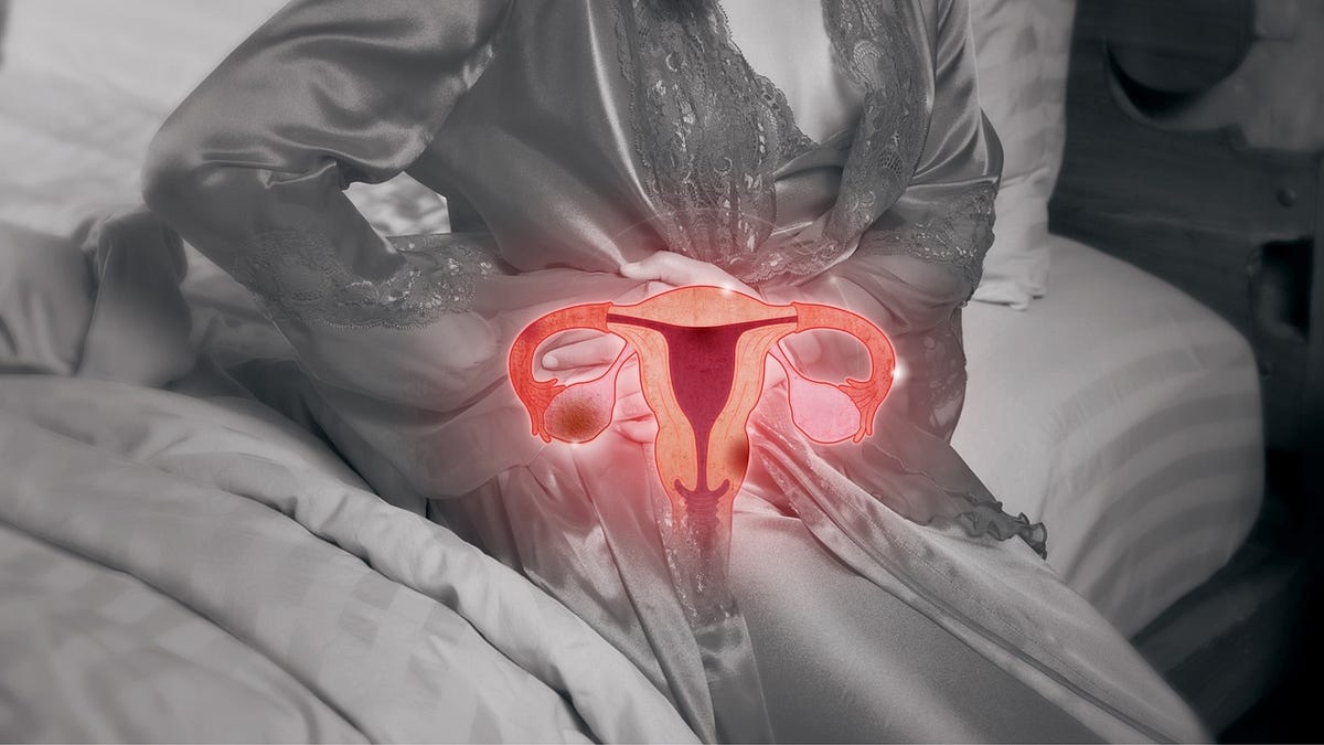 Uterine Anomalies in Infertility — Audubon Fertility Expert Insights