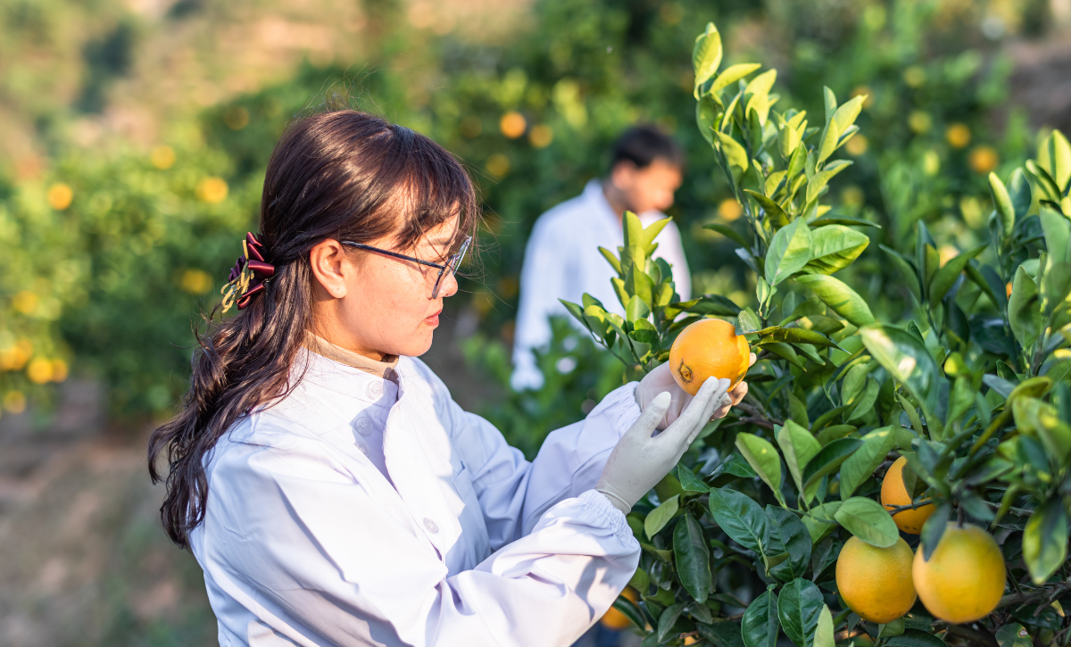 Transforme o Futuro do Campo: Sua Jornada Começa com o Curso Técnico Agrícola!