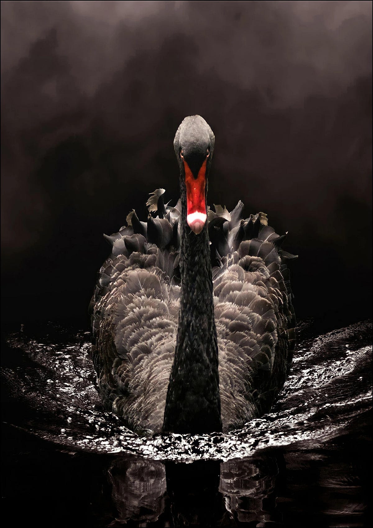 The Black Swan Phenomenon: Rewriting the Rules of Predictive Modeling ...