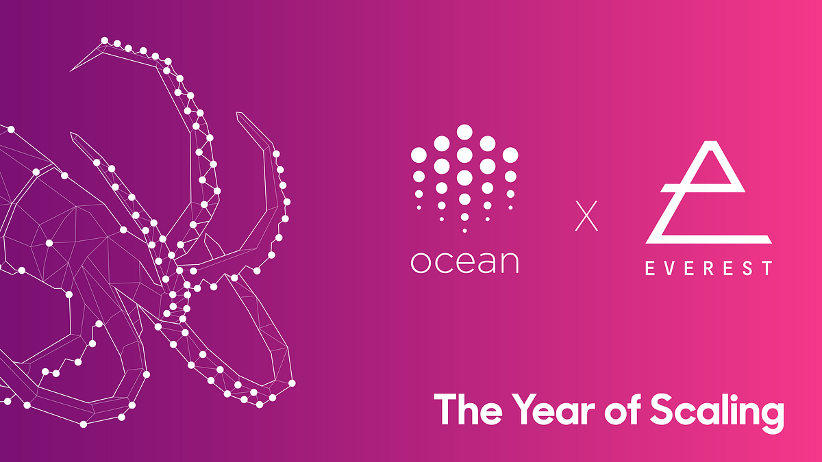 Everest brings IDV & fiat in/out to Ocean Market | Ocean Protocol