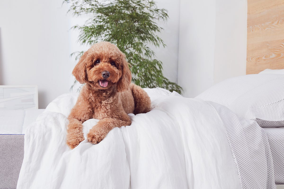 MATTRESS TOPPERS FOR FIBROMYALGIA IMPROVING SLEEP QUALITY AND COMFORT