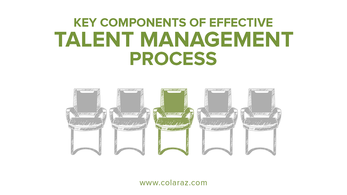 Key Components of Talent Management Process by Mohid Ahmed Medium