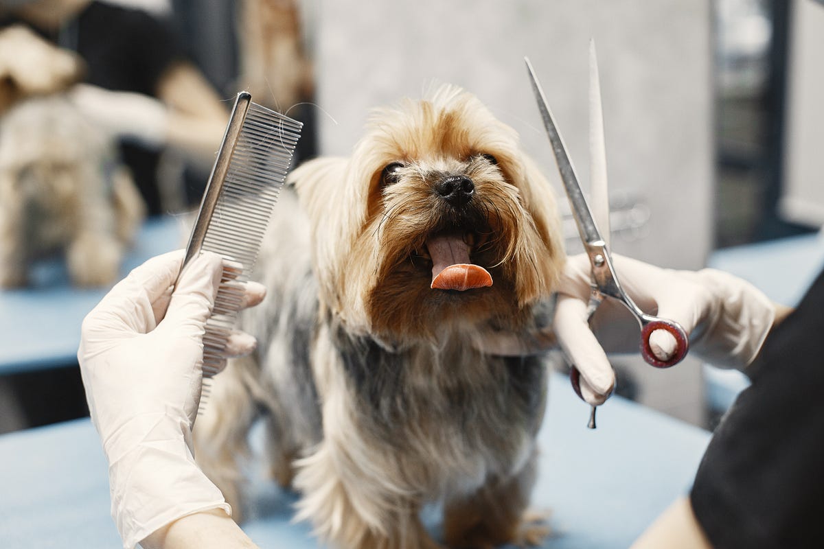 Maximizing Your Dog Grooming Experience with Grooming Charts by