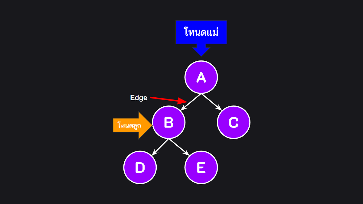 Data Structure & Algorithm(EP.10) — ทรี (Tree) | by KongRuksiam Studio ...