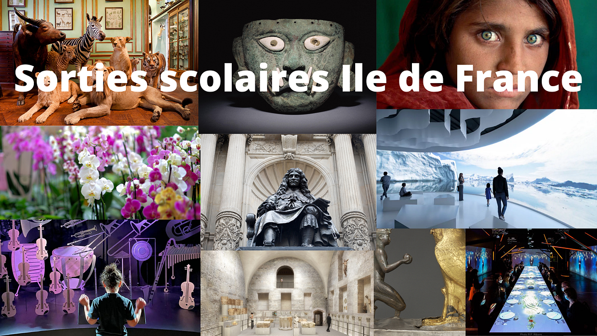 Top 10 idées de sorties scolaires en Ile de France 2022 | by julia