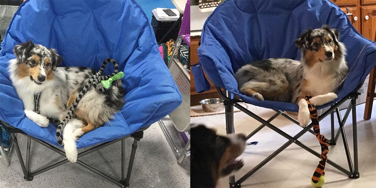 Moon chair costco deals