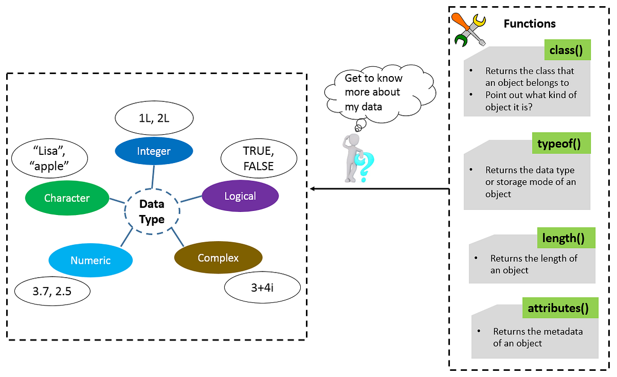 Take a fun way to better know Data type and structure in R | by Li Luo ...