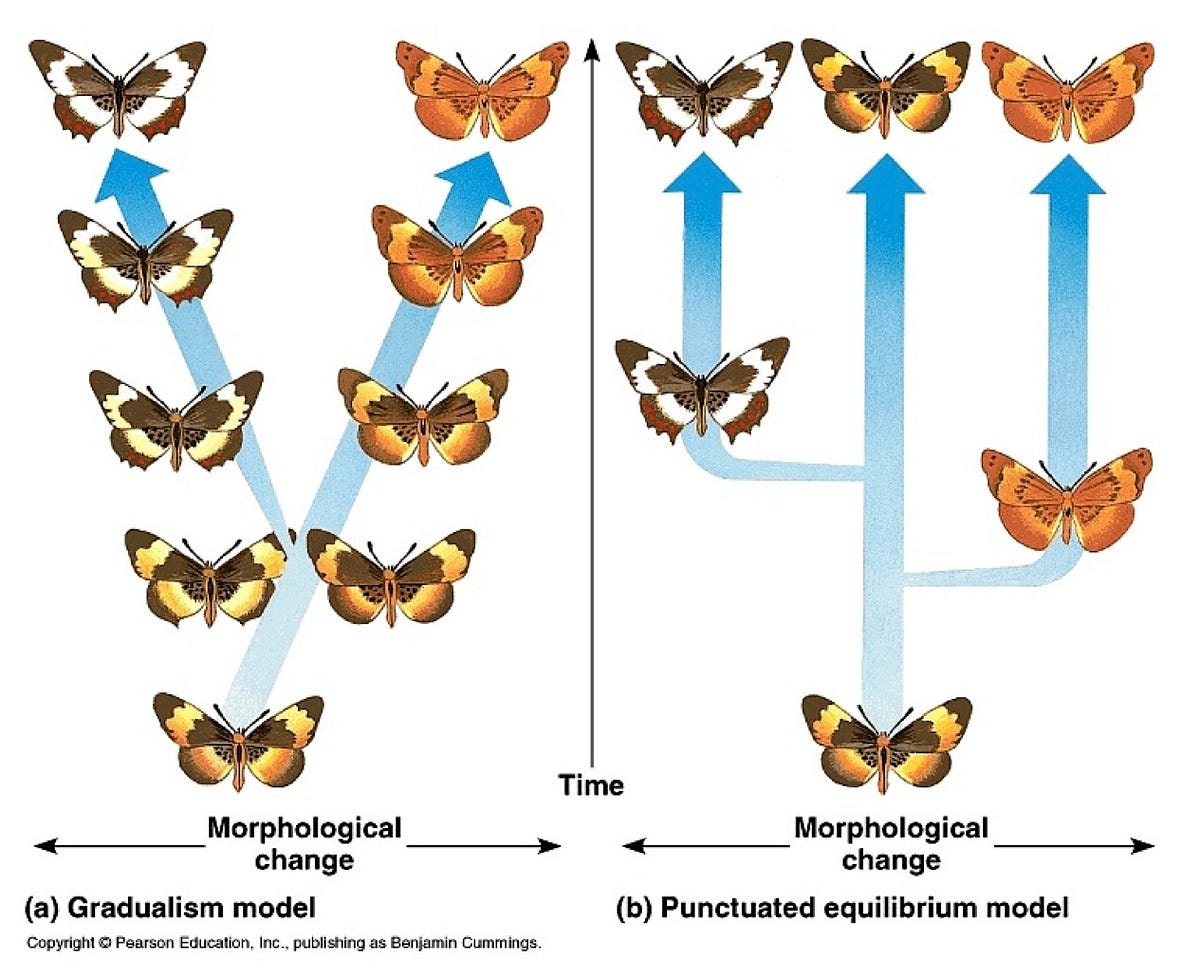 It’s not disruption, it’s punctuated equilibrium by David Havens I