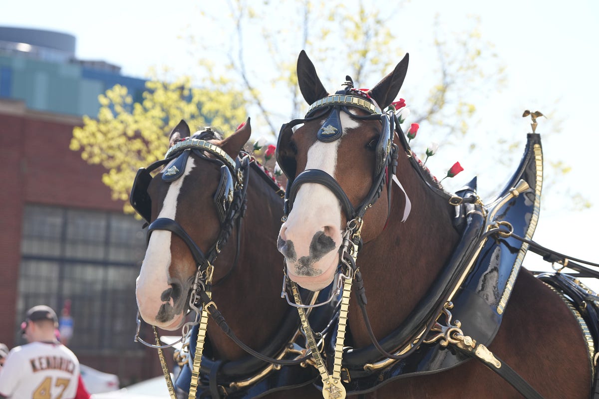 Nats Opening Day: Clydesdales, Ted Lerner Ceremony, What To Know