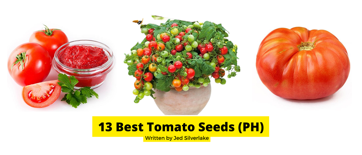 13 Best Tomato Seeds Philippines 2022 (w/ Free Discount) by Manila