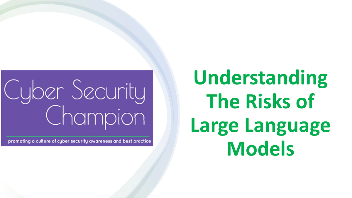 Understanding The Risks Of Large Language Models By Ricardo Newman