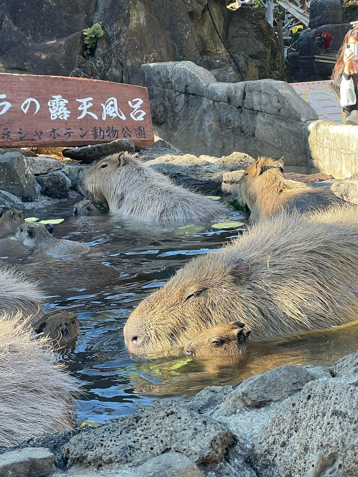A First-Timer’s Guide to Japanese Public Baths (Sento vs Onsen) | by ...
