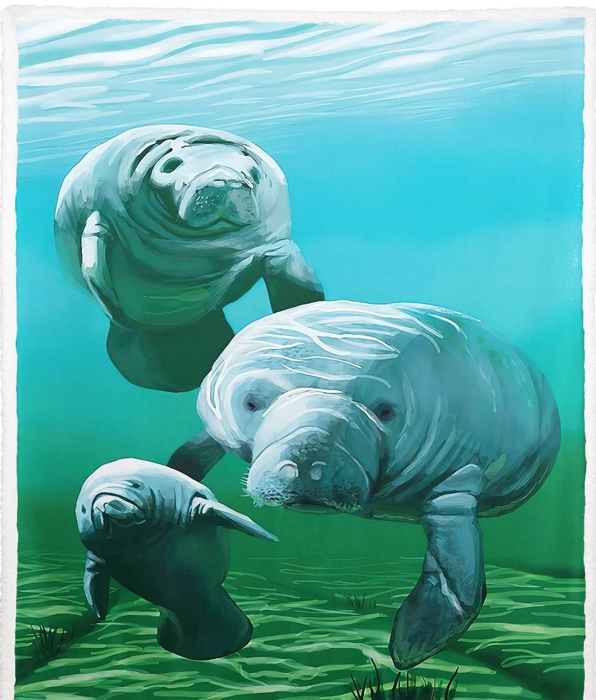 Unveiling the Fascinating History and Conservation of Manatees Explore Unveiling the Fascinating History and Conservation of Manatees Explore