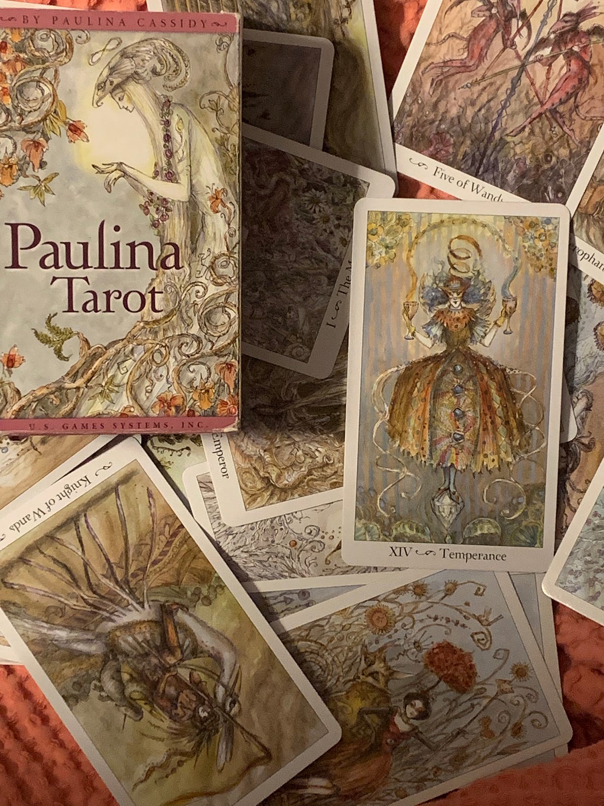 Paulina Tarot: Deck Review. At a first glance there are a few… | by  InterGalactiCat | Medium