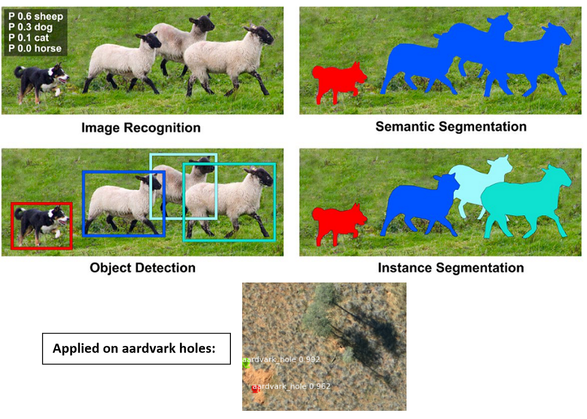 How to Handle Neural Network Output: A Practical Application on ...