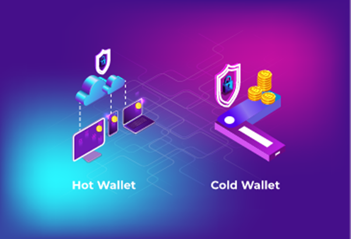 Hot Wallets Vs Cold Wallets What Are the Key Differences? by Kalp