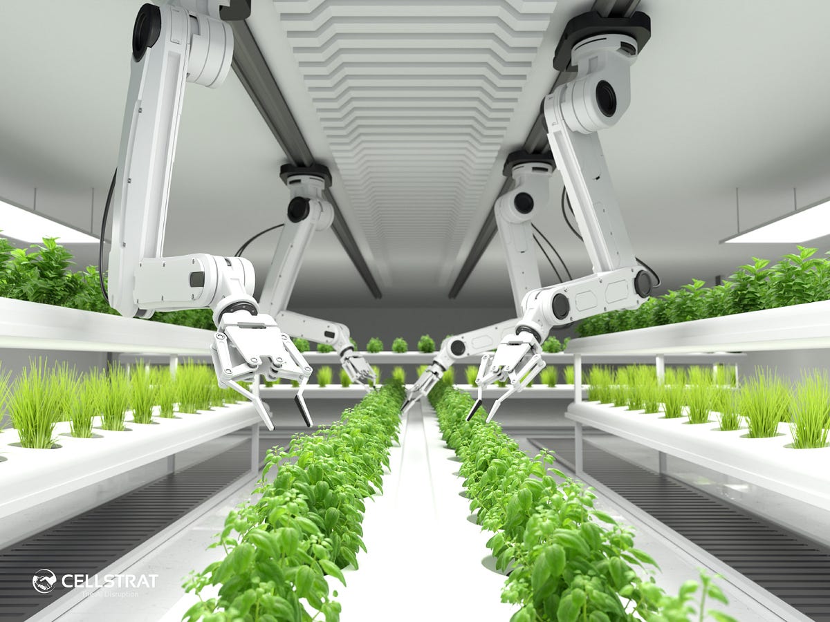 Harvesting the Future: How Artificial Intelligence is Transforming Agriculture