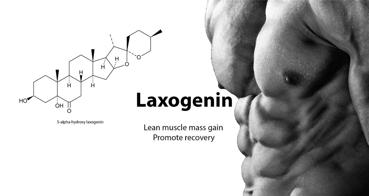LAXOGENIN. WHAT IS LAXOGENIN? | by Delphine Brekke | Medium