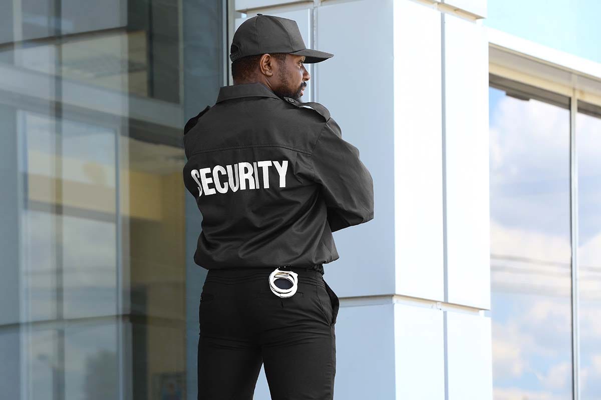 WHAT MAKES A PROFESSIONAL SECURITY GUARD HAMILTON NECESSARY? You