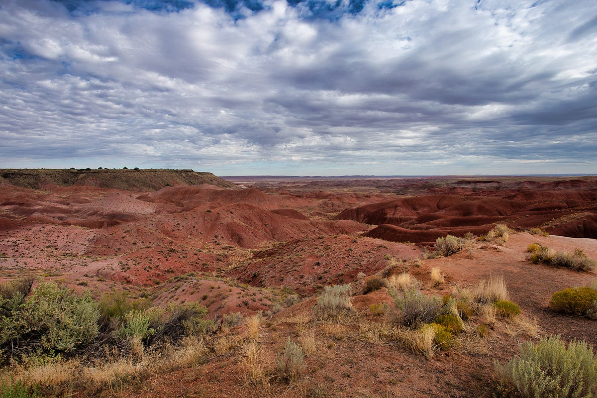 Petrified Forest National Park. A Quick Drive Through | by Lauri